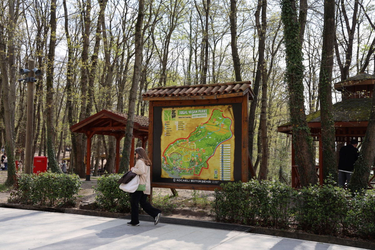 Baharın en güzel hali Ormanya’da yaşanıyor