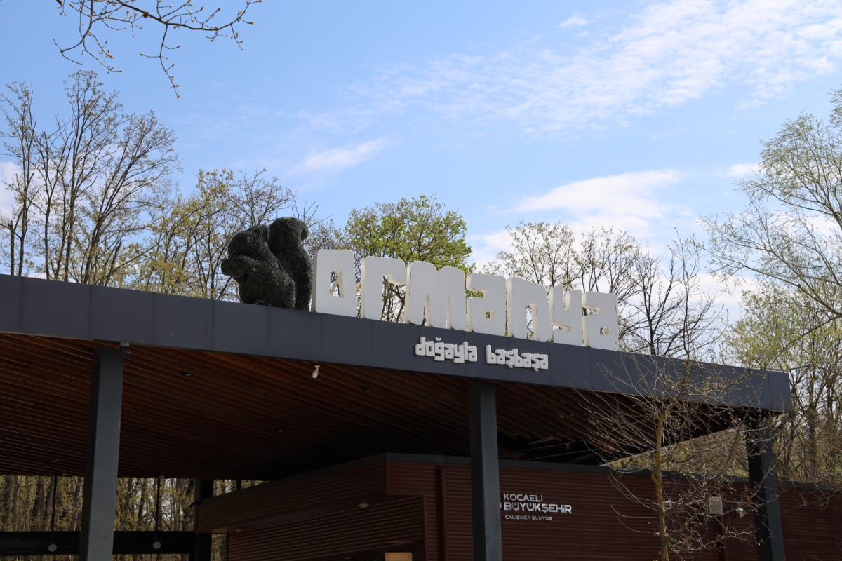 Baharın en güzel hali Ormanya’da yaşanıyor