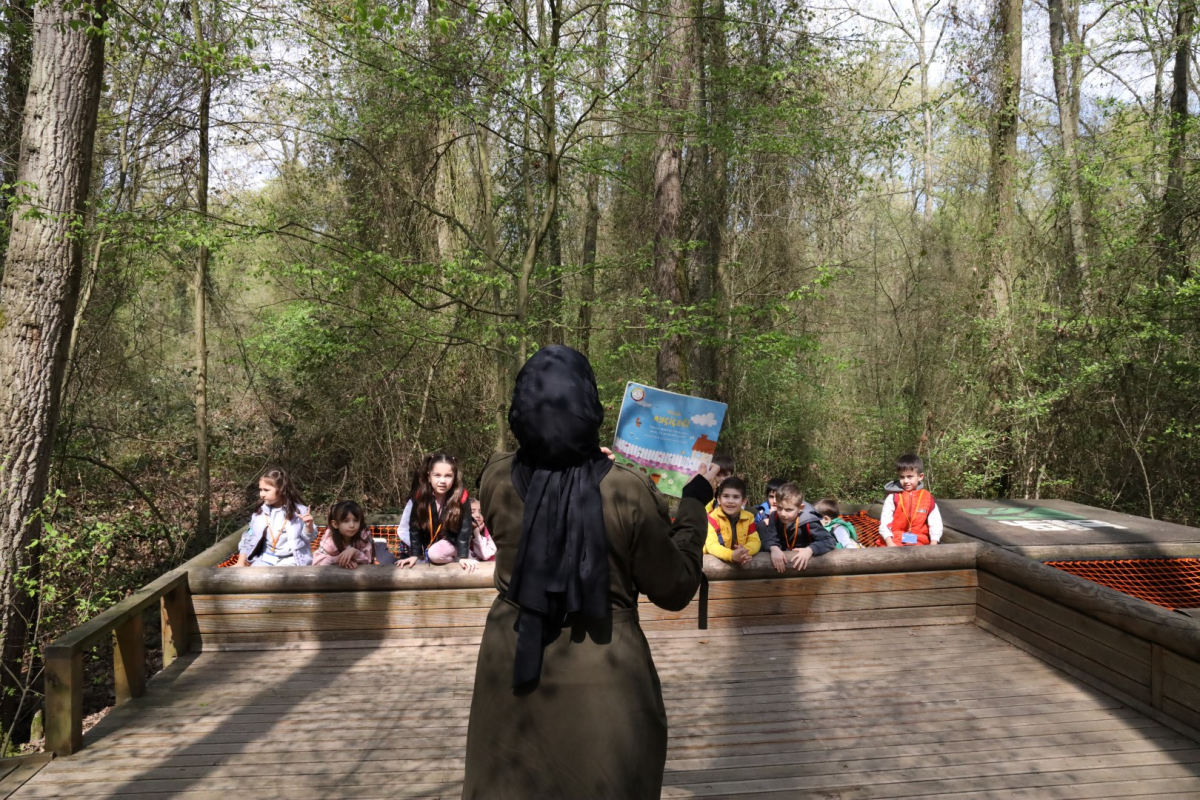 Baharın en güzel hali Ormanya’da yaşanıyor