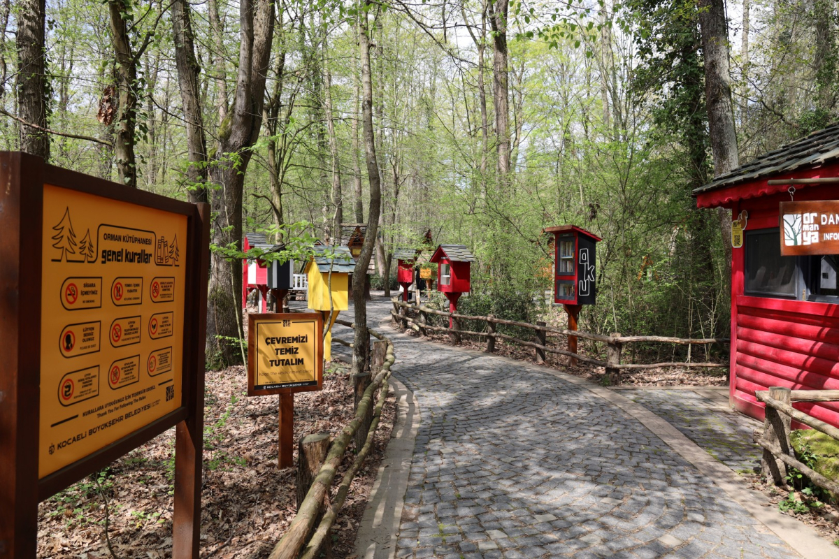 Baharın en güzel hali Ormanya’da yaşanıyor