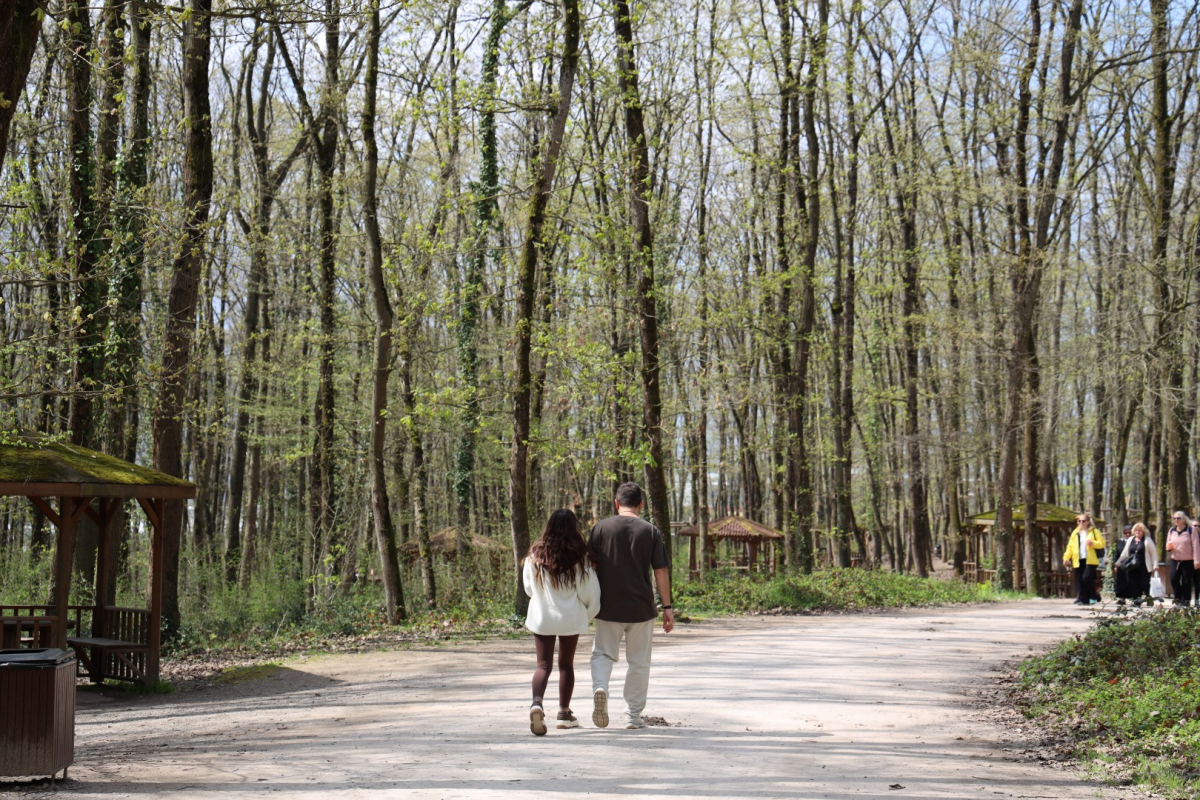 Baharın en güzel hali Ormanya’da yaşanıyor