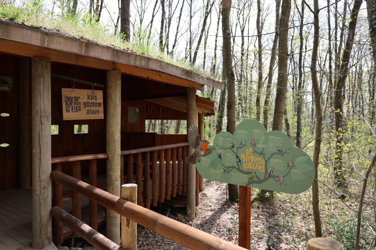 Baharın en güzel hali Ormanya’da yaşanıyor