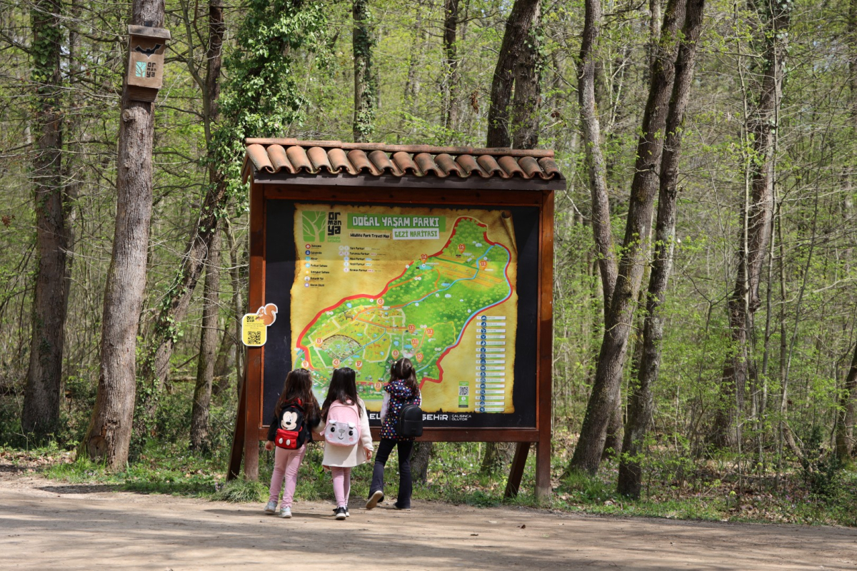 Baharın en güzel hali Ormanya’da yaşanıyor