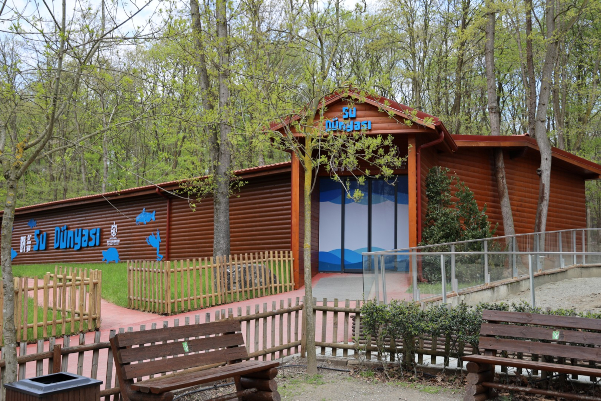 Baharın en güzel hali Ormanya’da yaşanıyor