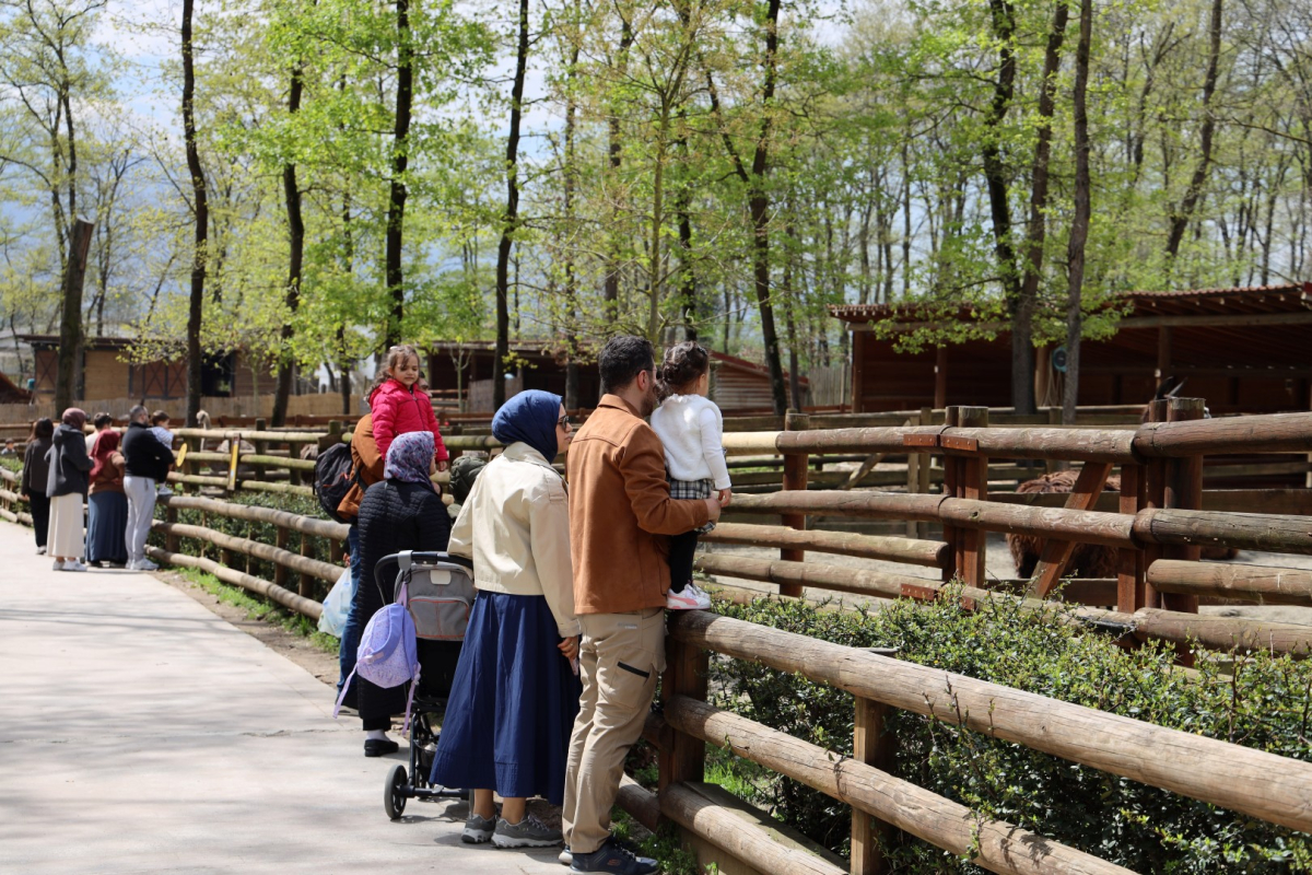 Baharın en güzel hali Ormanya’da yaşanıyor