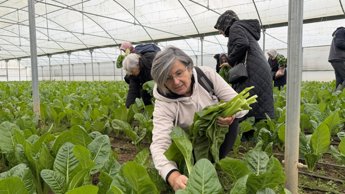İzmit Saygınlar Kulübü 1 yaşında