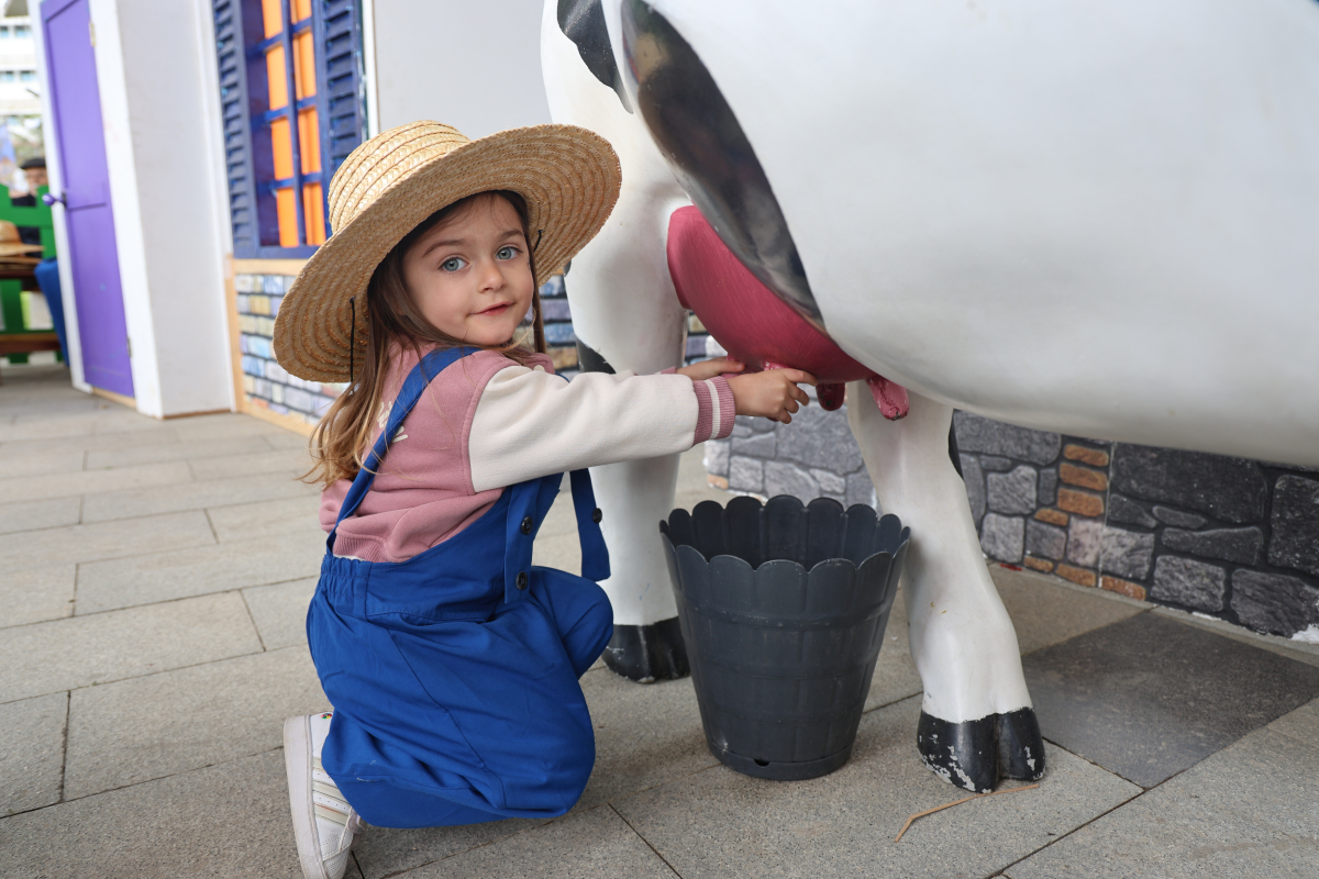 Bir meydan dolusu mutluluk