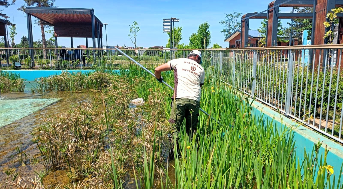 Gebze Millet Bahçesi yazın daha da şenlenecek