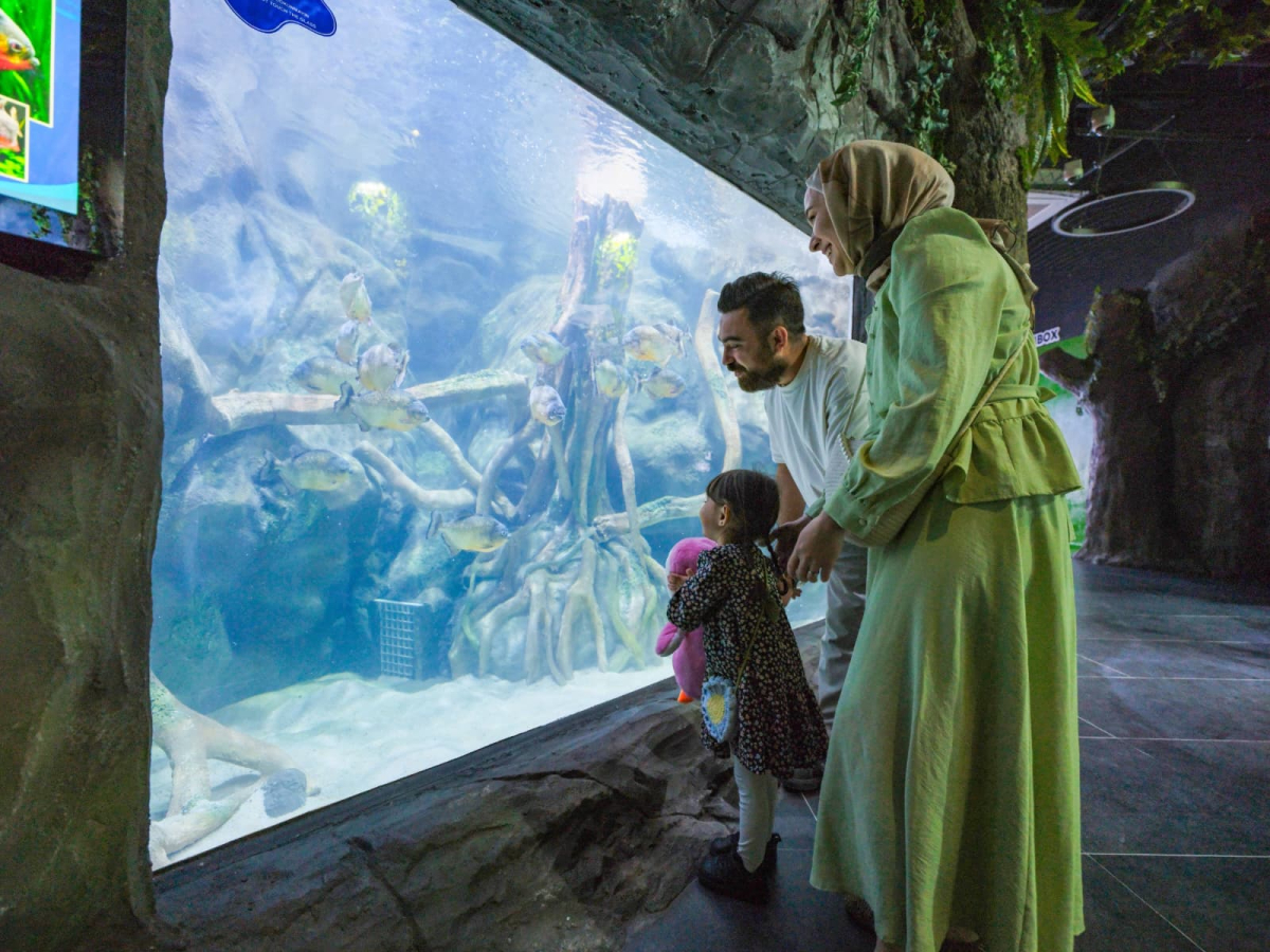 Büyükakın, büyüleyici Körfez Aqua’yı müjdeyle açtı: İlk 2 gün ücretsiz