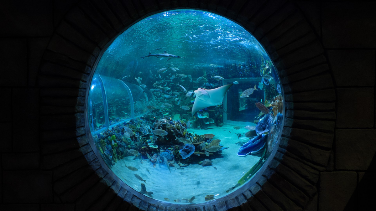 Körfez Aqua 7’den 70’e herkesi büyüledi