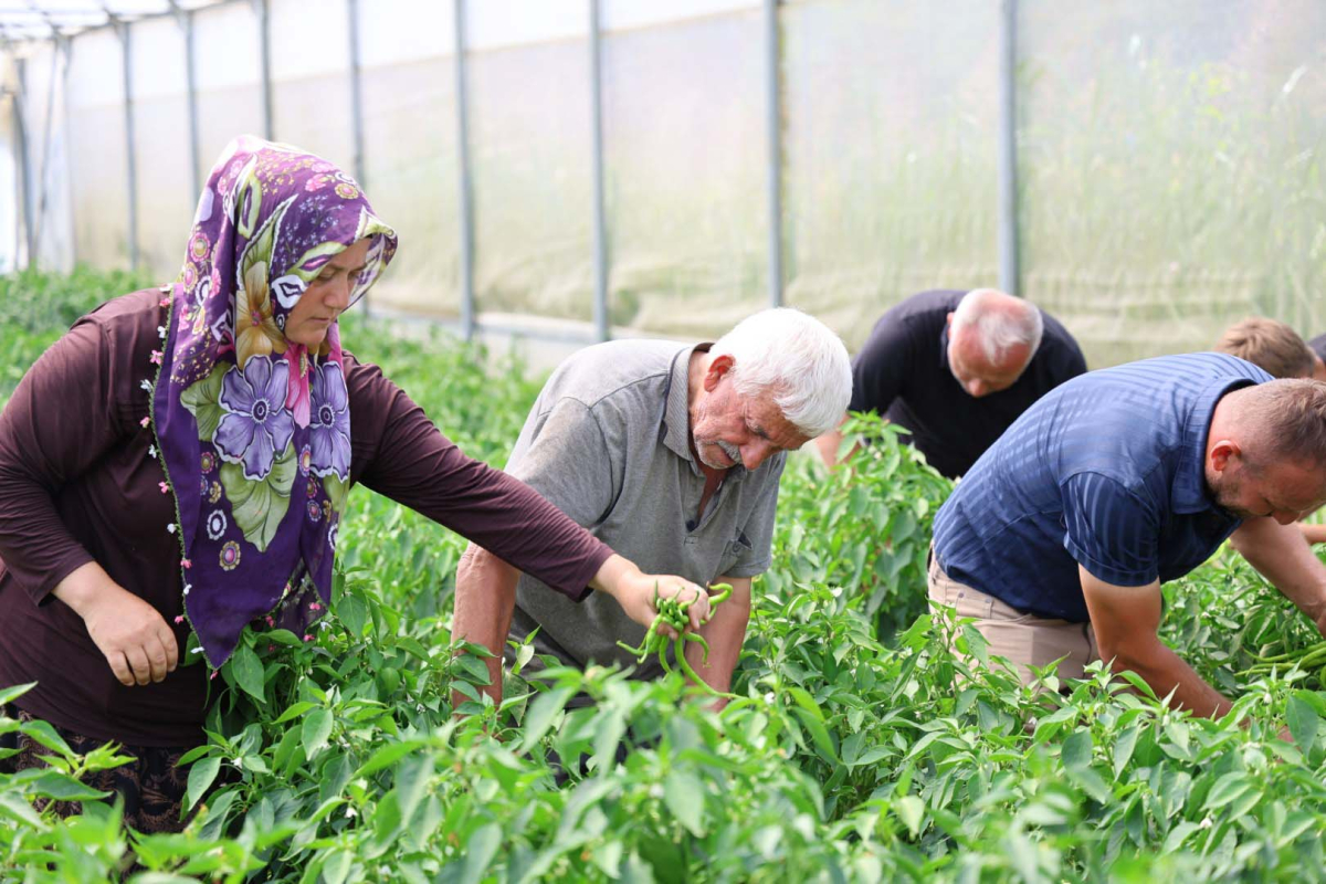 Büyükşehir’in sera desteği üretime güç kattı