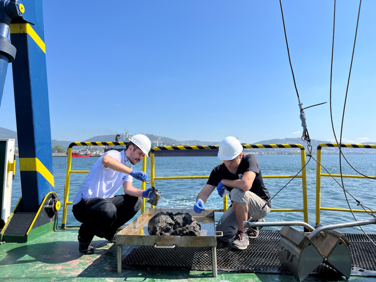İzmit Körfezi’nde deniz ekosistemi hayat buluyor