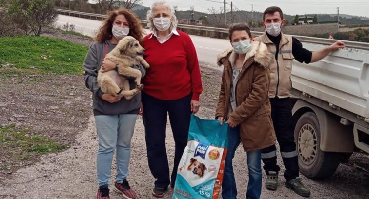 Büyükşehir, sokak hayvanları için  1,5 ton mama dağıttı