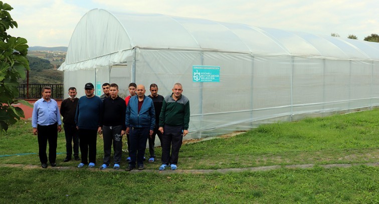 Kocaeli'de ‘'özel bireyler'' serada sebze yetiştirerek rehabilite ediliyor