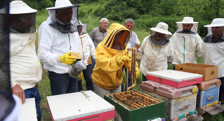Arı yetiştiricileri ilkleri KO-MEK'te öğreniyor
