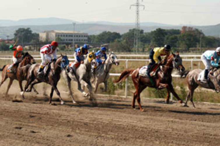 Sarımeşe'de At Yarışı Çoşkusu Yaşandı